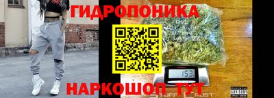 гидра Железноводск