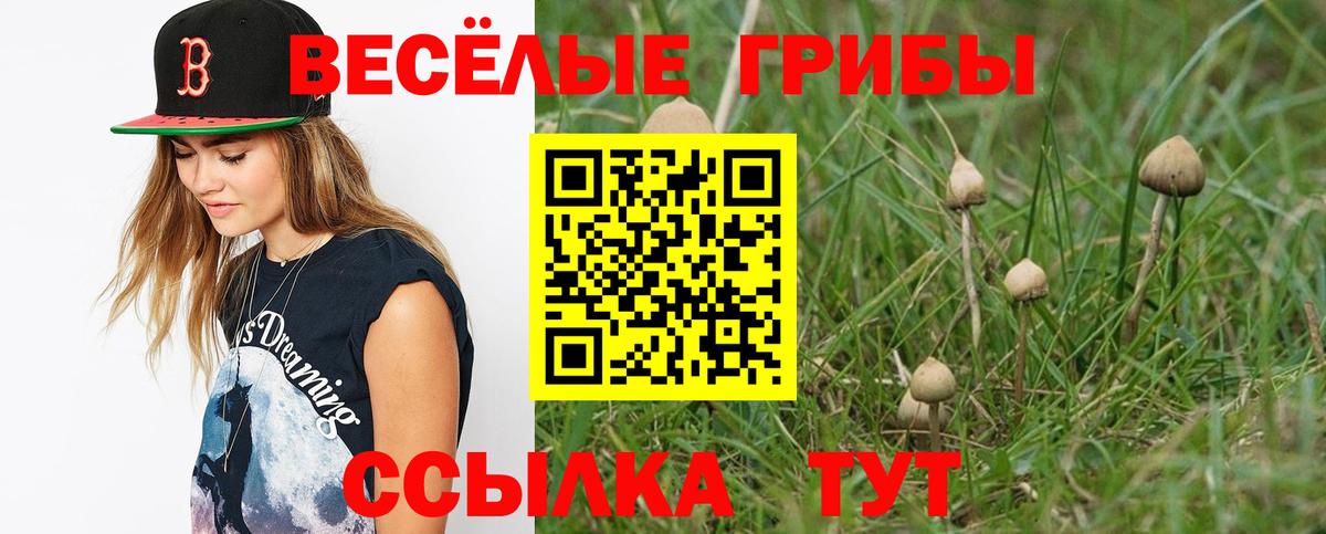 Галлюциногенные грибы Psilocybine cubensis  Галлюциногенные грибы прущие грибы  Гатчина  Вход с VPN 